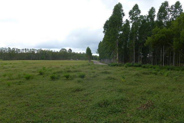 Land For Sale Huay Yai land already cleared Land For Sale Huay Yai land already cleared
