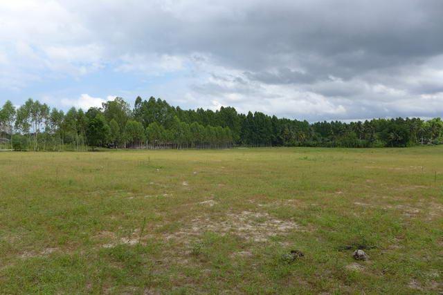 Land For Sale Huay Yai ideal for housing project Land For Sale Huay Yai ideal for housing project