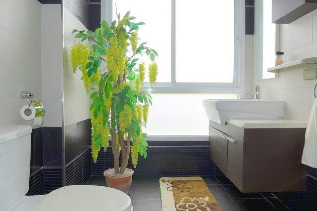 Condominium For Sale Naklua showing the bathroom Condominium For Sale Naklua showing the bathroom