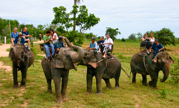 Elephant Village