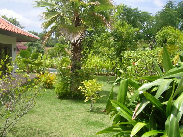 House for rent Bangsaray Pattaya showing the garden and pool