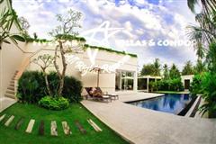House for sale Pattaya The Vineyard Phase 1 showing the garden and pool