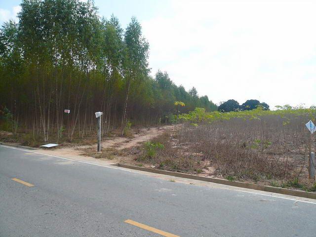 Land for sale in Nongpalai showing the road frontage Land for sale in Nongpalai showing the road frontage