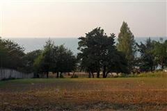Land For Sale Na Jomtien  - Land - Pattaya - Na Jomtien Beach