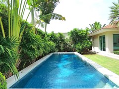 House for sale The Vineyard Pattaya showing the private pool 