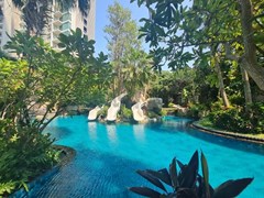 INVESTMENT 2 studios Riviera Wongamat - Condominium - Pattaya - Wongamat Beach