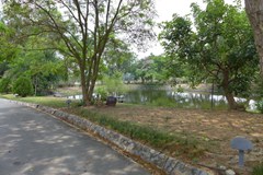 Land for sale Bangsaray Pattaya showing the lake