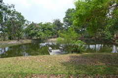 Land for sale Bangsaray Pattaya showing lakeside land