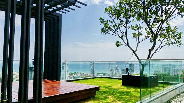 Condominium for rent UNIXX South Pattaya showing the roof top garden 