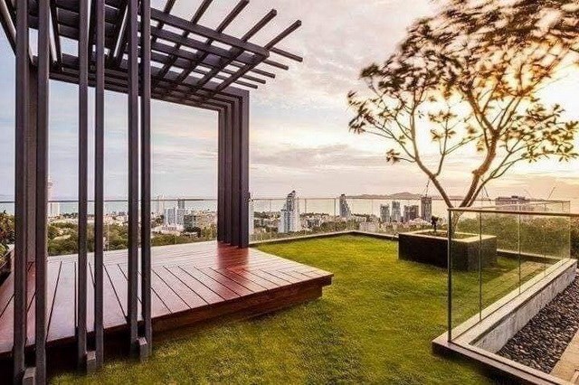 Condominium for rent Pattaya showing the communal roof top garden 