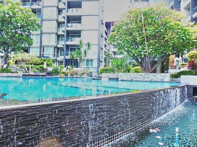 Condominium for rent Central Pattaya showing the communal pool 